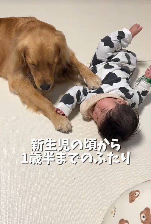 子守りをしながらウトウト…