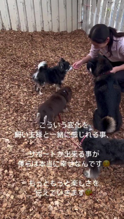 嬉しさと楽しさを見つけよう