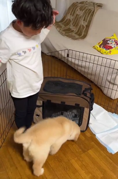 ラニーちゃんをよける男の子