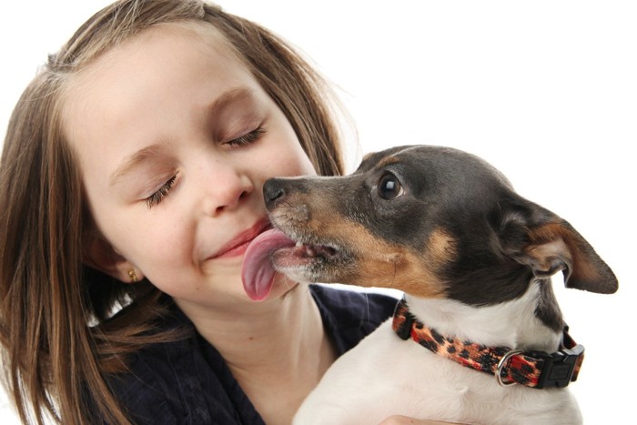 少女の顔を舐める犬