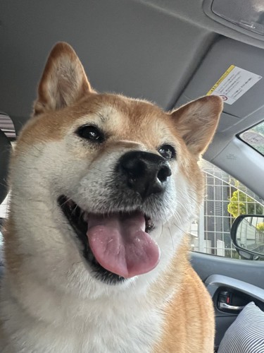 お迎え