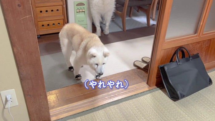 「やれやれ」