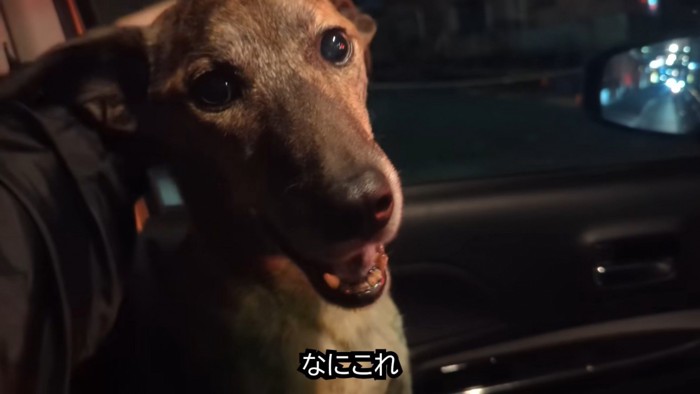 「すごく寂しかったよ~!」