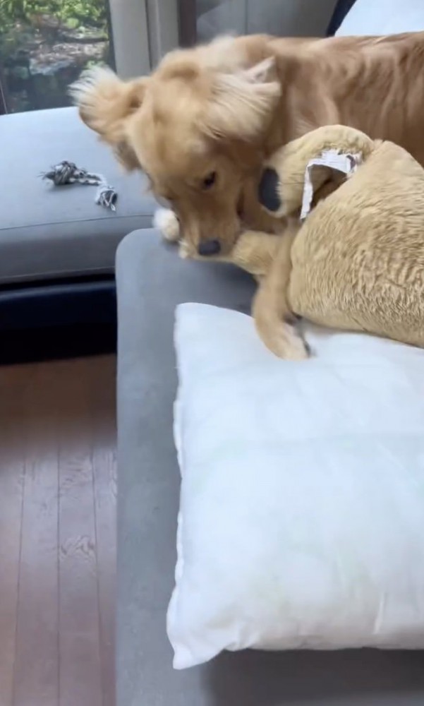 テンションMAX
