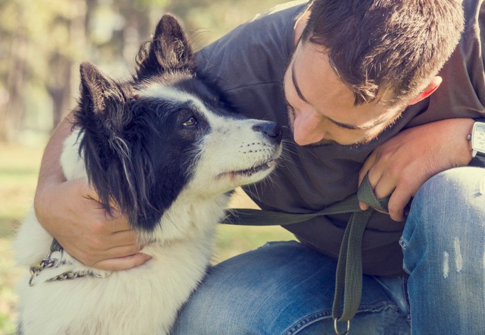 犬に頼られる男性