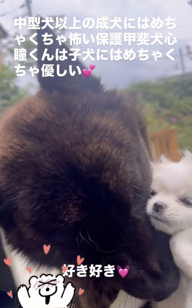 止められない父性