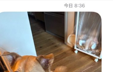 仕事