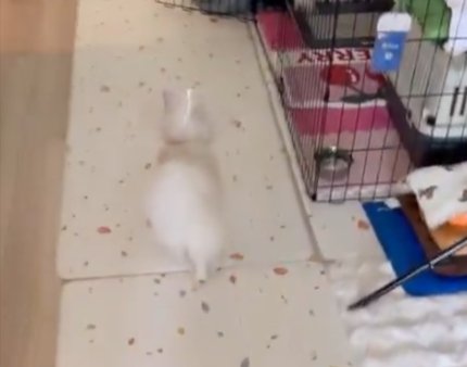 まさかの
