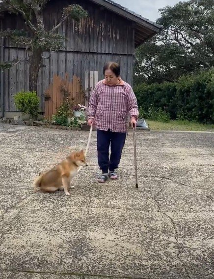 心配したけれど…