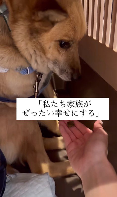 おふとん君の変化4