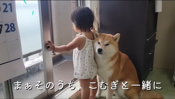 窓に手をついてベランダを眺める女の子に体を寄せるオスの柴犬