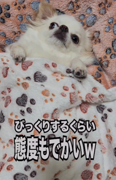 極小感どこいった？