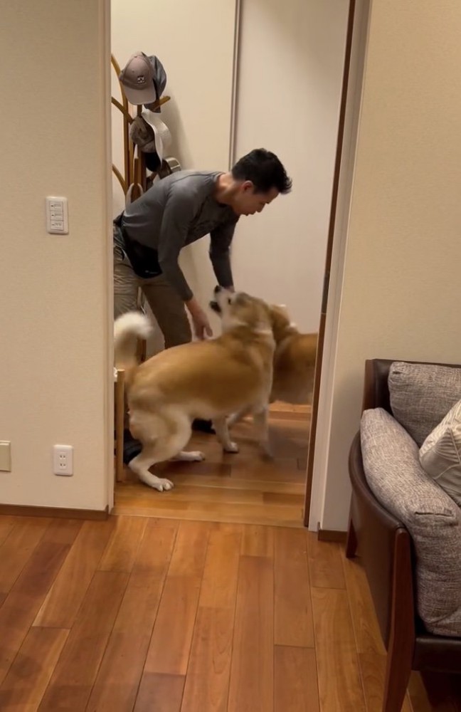 熱烈歓迎