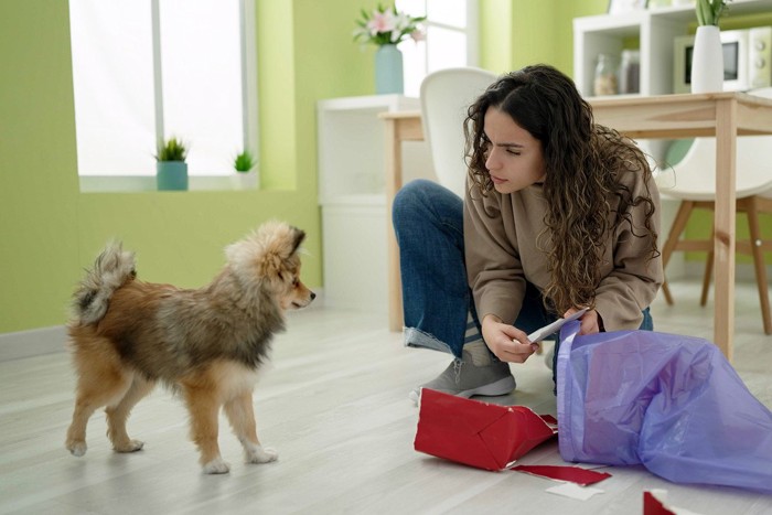 イタズラした子犬と女性