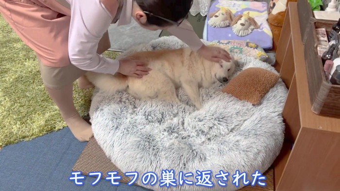 ベッドに戻されちゃった