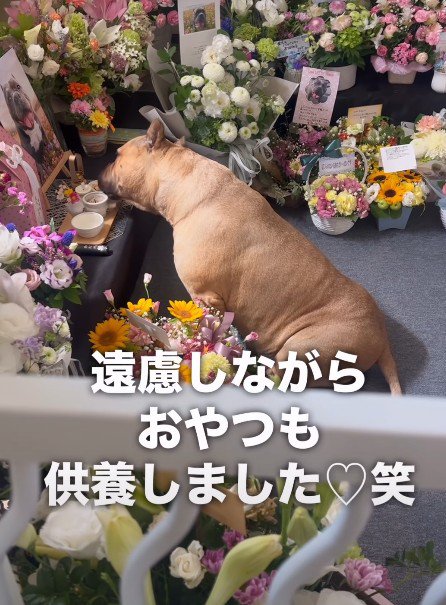 遠慮しながらパクリ
