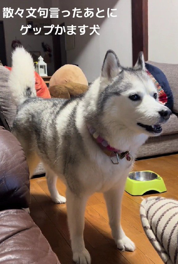 「おやつちょうだい！」
