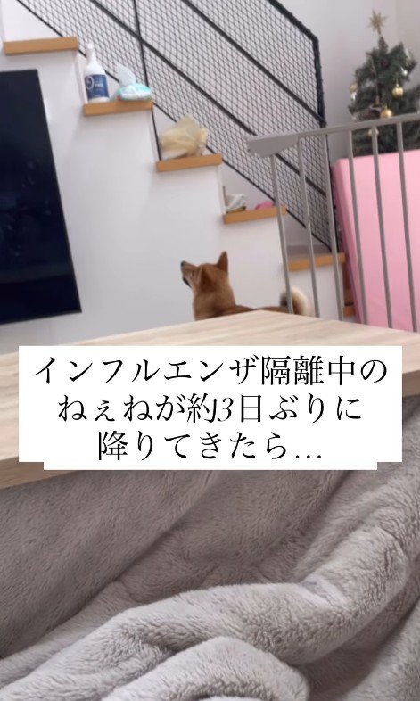 らむねちゃんとお姉ちゃんの再会3