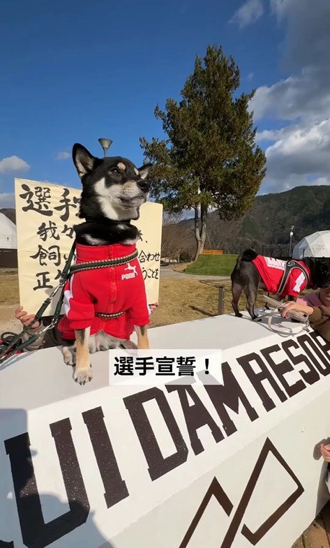 キリッとした表情で選手宣誓