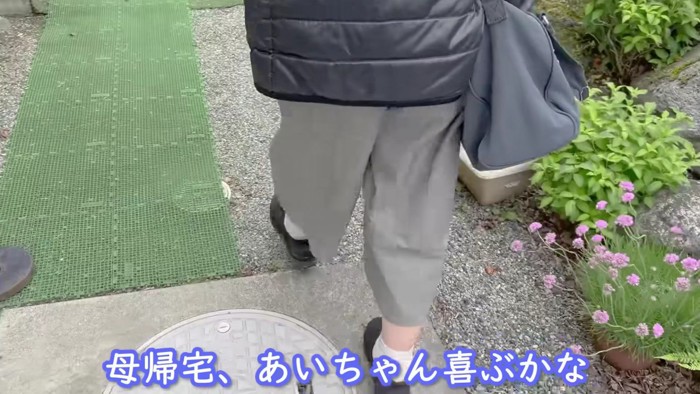 お母さんの帰宅