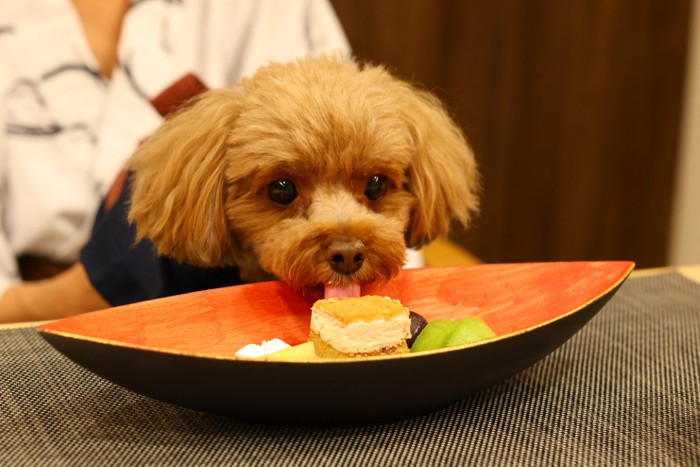 デザートを盗み食い