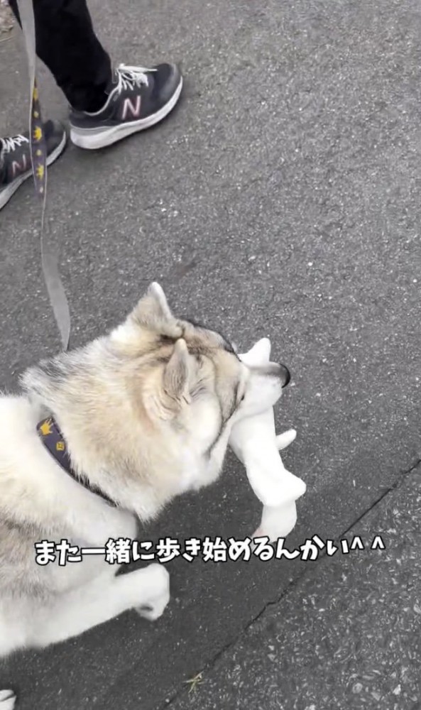 やっぱり一緒に歩きたい！？