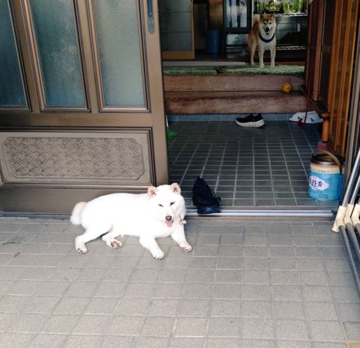 穏やかな日常