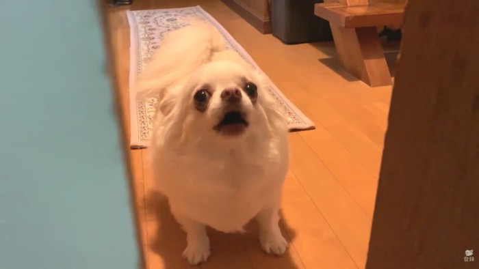 「一人で入るな!」