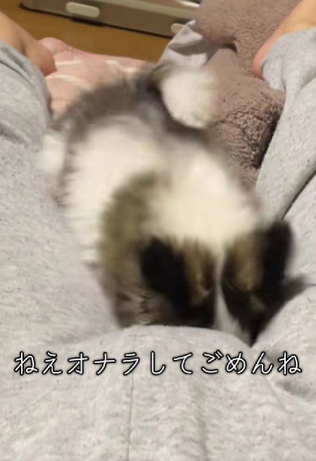 おならをしてしまったら…