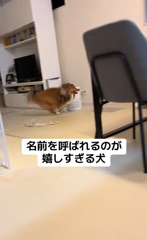 名前を呼ばれた時のリックくん⑩