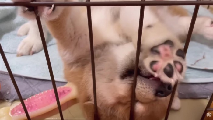 外の世界は気になるけど…