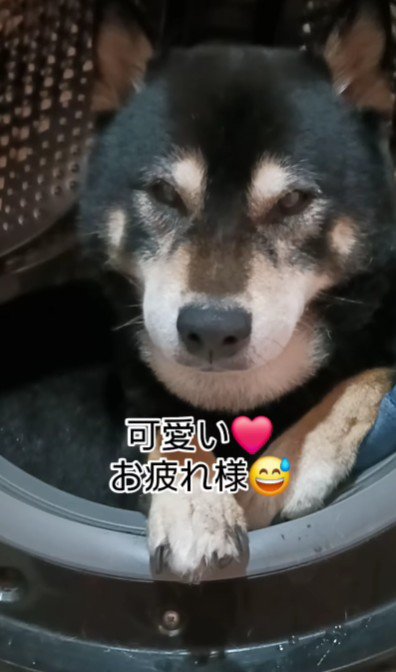 洞穴みたい！？