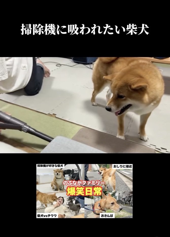 あれは…
