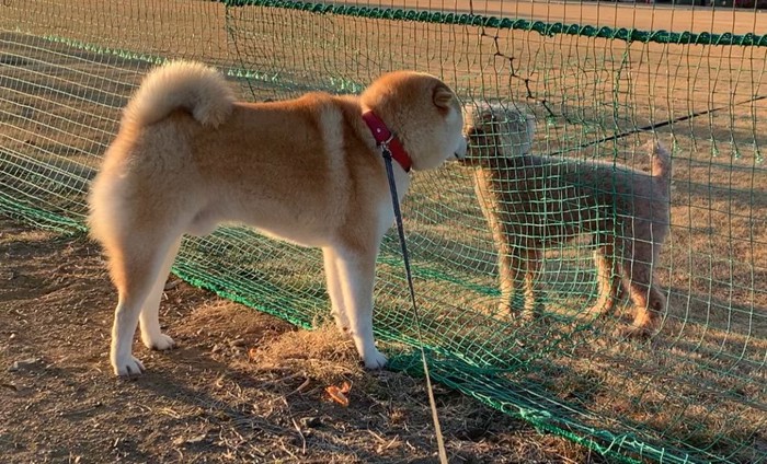 完全に
