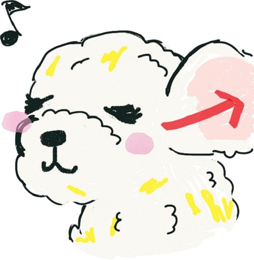 イラスト もこもこたれ耳犬 耳の内側矢印