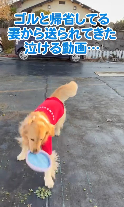 楽しそうに遊んでいる蒼空ちゃん