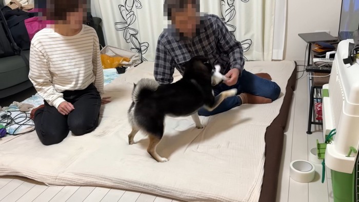でも一緒に遊びたいようです♪