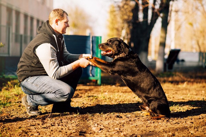 手と手を取り合う犬と男性