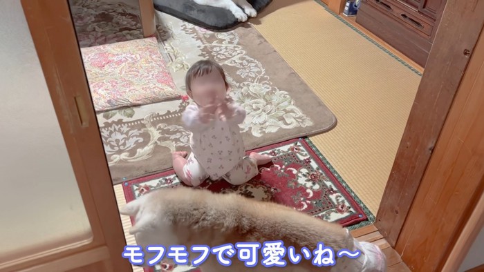 子守り上手なあいちゃん