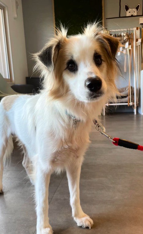 ダニエルくんとの数ヶ月間2