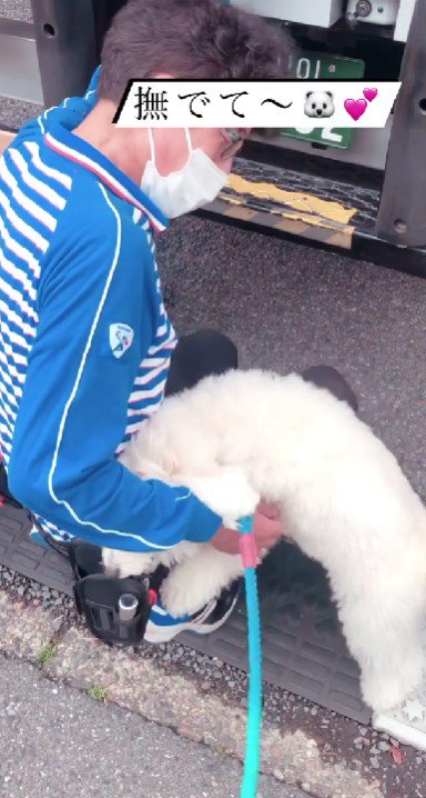 微笑ましい光景にホッコリ