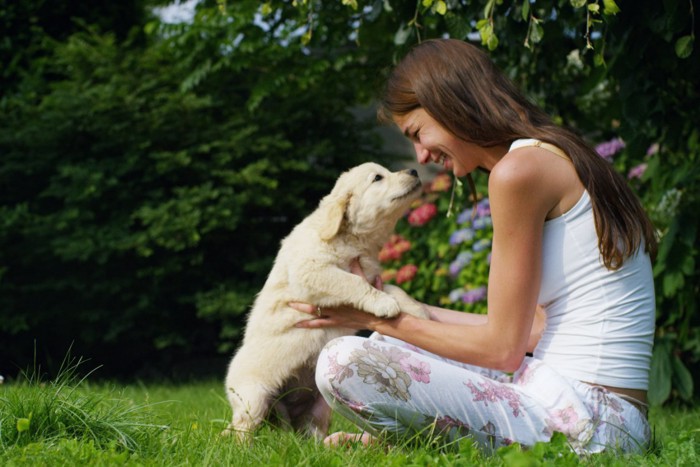 女性とゴールデンレトリーバーの子犬