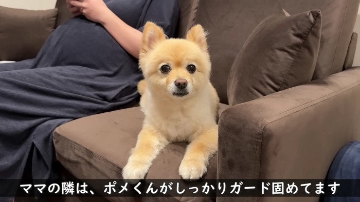 いつでも守ってるとか