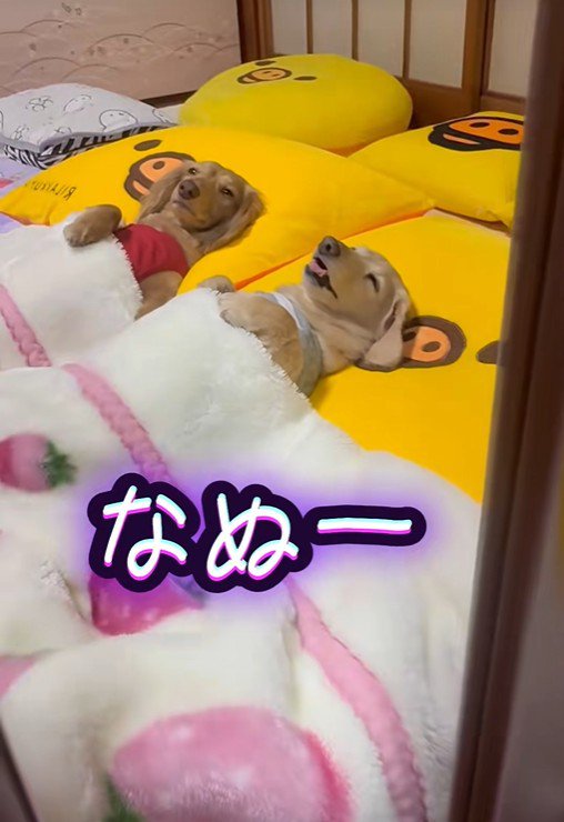 改めて鏡をチェック