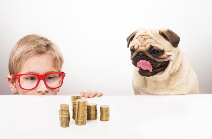 犬とお金と少年