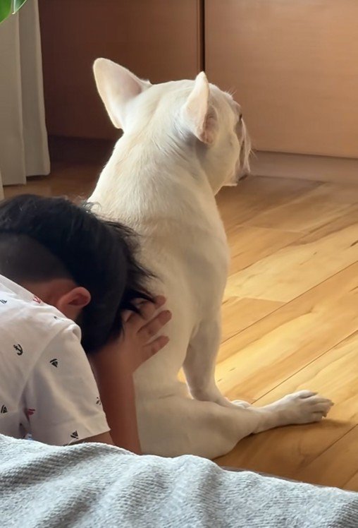 「僕の背中で好きなだけ泣けばいいさ」