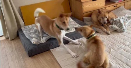 仲間と運動することも