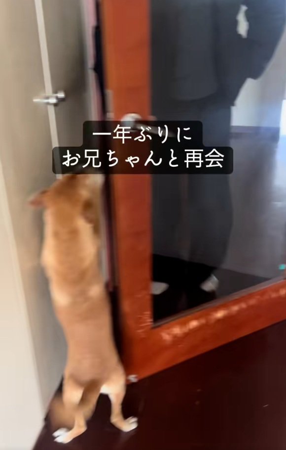 待ち構えているごぅちゃん
