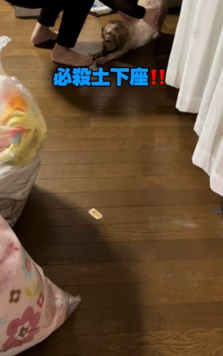 「わたしです！！」