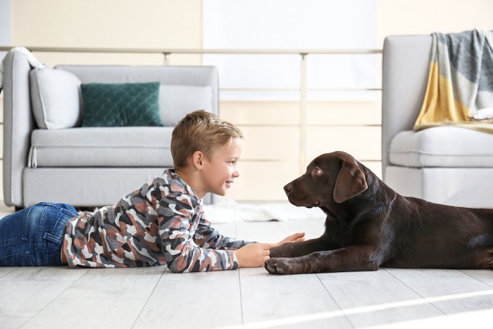 寝転んで見つめ合う犬と男の子